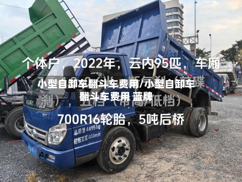 小型自卸车翻斗车费用/小型自卸车翻斗车费用 蓝牌