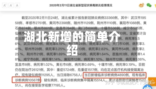 湖北新增的简单介绍