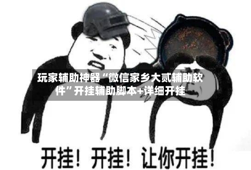 玩家辅助神器“微信家乡大贰辅助软件”开挂辅助脚本+详细开挂-第1张图片