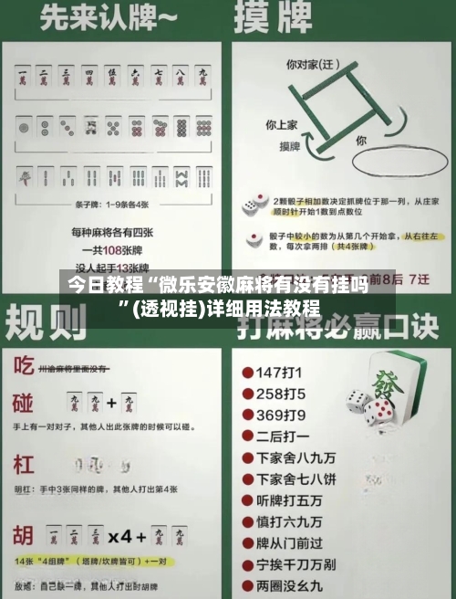 今日教程“微乐安徽麻将有没有挂吗”(透视挂)详细用法教程-第1张图片