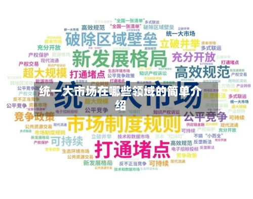 统一大市场在哪些领域的简单介绍-第1张图片