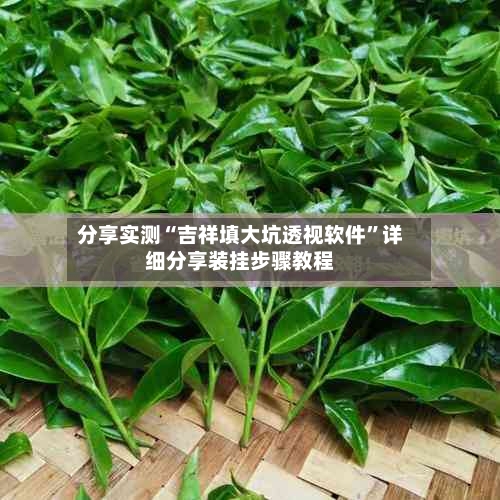 分享实测“吉祥填大坑透视软件”详细分享装挂步骤教程-第1张图片