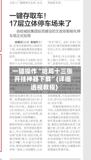 一键操作“哈局十三张开挂神器下载	”(详细透视教程)-第1张图片