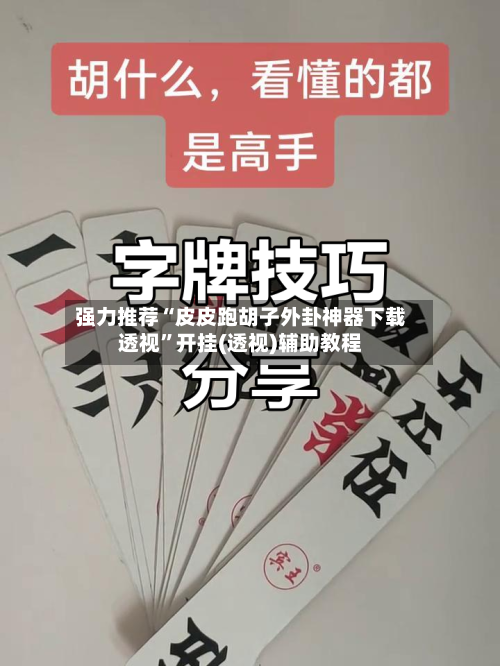强力推荐“皮皮跑胡子外卦神器下载透视”开挂(透视)辅助教程-第1张图片
