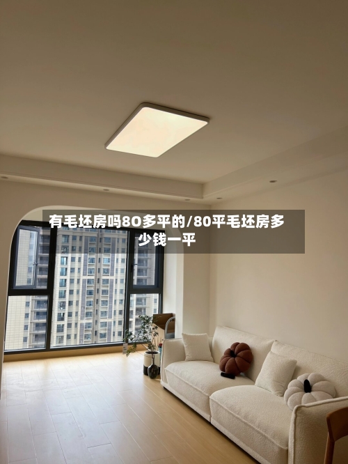 有毛坯房吗8O多平的/80平毛坯房多少钱一平