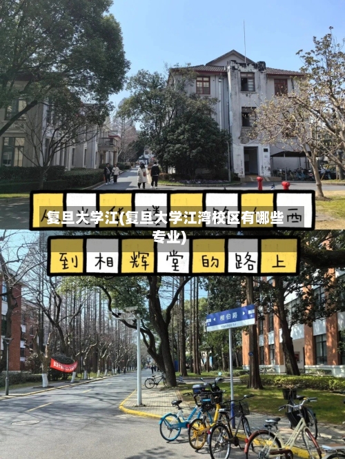 复旦大学江(复旦大学江湾校区有哪些专业)-第1张图片