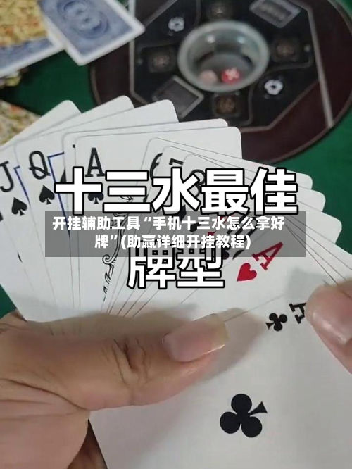 开挂辅助工具“手机十三水怎么拿好牌	”(助赢详细开挂教程)-第1张图片