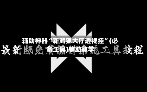 辅助神器“新鸿狐大厅透视挂”(必备工具)辅助教学