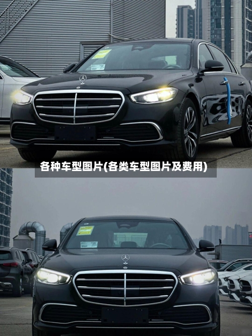 各种车型图片(各类车型图片及费用)