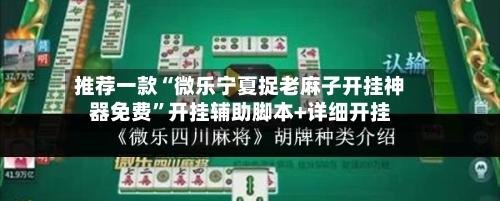 推荐一款“微乐宁夏捉老麻子开挂神器免费”开挂辅助脚本+详细开挂-第3张图片