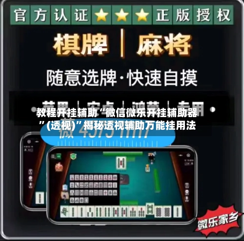 教程开挂辅助“微信微乐开挂辅助器”(透视)”揭秘透视辅助万能挂用法-第2张图片