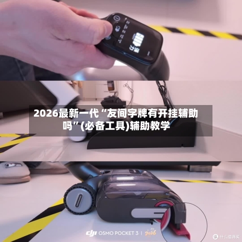 2026最新一代“友间字牌有开挂辅助吗”(必备工具)辅助教学-第1张图片