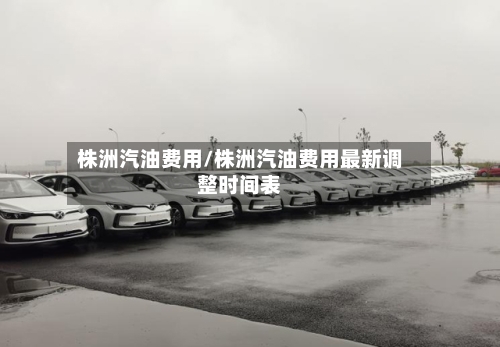 株洲汽油费用/株洲汽油费用最新调整时间表
