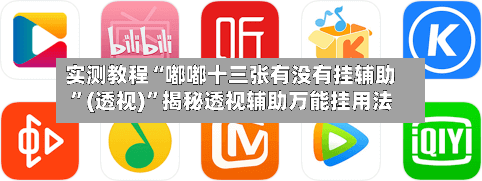 实测教程“嘟嘟十三张有没有挂辅助”(透视)	”揭秘透视辅助万能挂用法-第1张图片