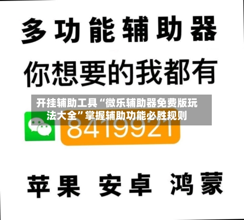开挂辅助工具“微乐辅助器免费版玩法大全”掌握辅助功能必胜规则