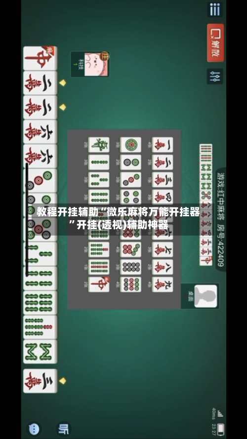 教程开挂辅助“微乐麻将万能开挂器	”开挂(透视)辅助神器-第2张图片