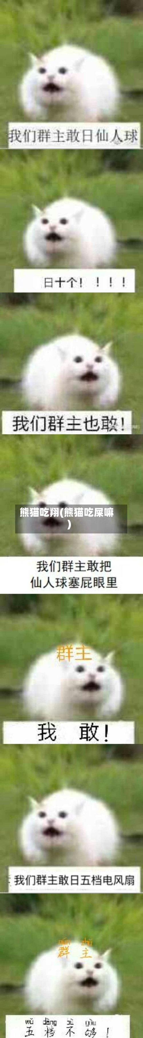熊猫吃翔(熊猫吃屎嘛)-第1张图片