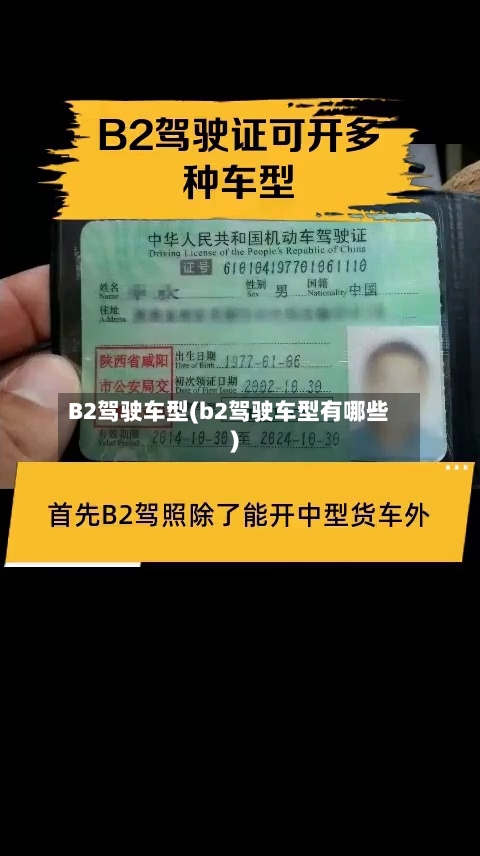 B2驾驶车型(b2驾驶车型有哪些)-第1张图片