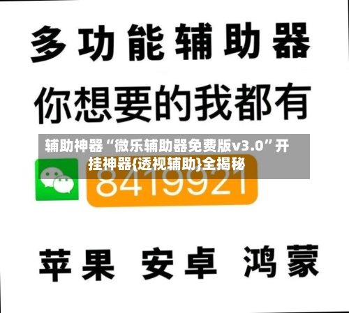 辅助神器“微乐辅助器免费版v3.0”开挂神器{透视辅助}全揭秘-第1张图片