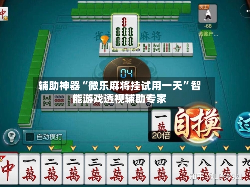 辅助神器“微乐麻将挂试用一天”智能游戏透视辅助专家-第1张图片
