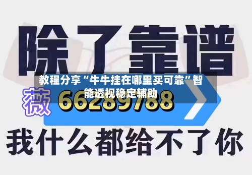 教程分享“牛牛挂在哪里买可靠”智能透视稳定辅助-第1张图片