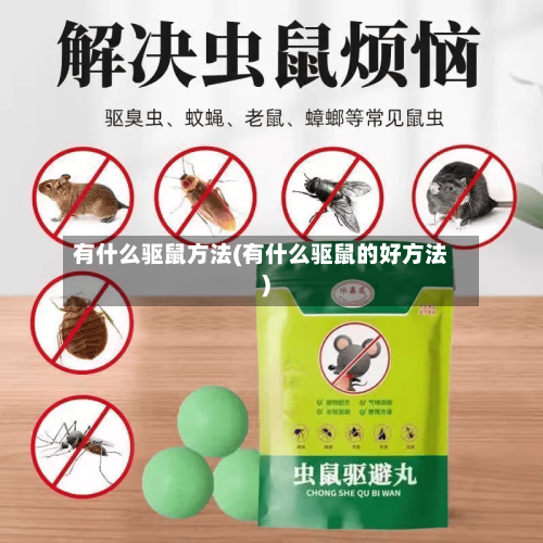 有什么驱鼠方法(有什么驱鼠的好方法)-第1张图片