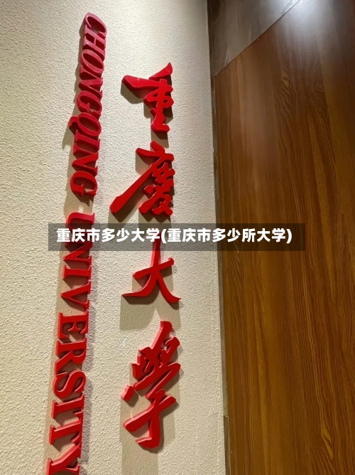 重庆市多少大学(重庆市多少所大学)-第1张图片