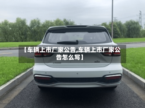 【车辆上市厂家公告,车辆上市厂家公告怎么写】-第1张图片