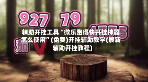 辅助开挂工具“微乐跑得快开挂神器怎么使用”(免费)开挂辅助教学(最新辅助开挂教程)-第1张图片
