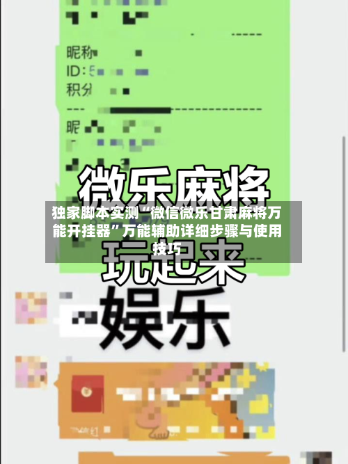 独家脚本实测“微信微乐甘肃麻将万能开挂器”万能辅助详细步骤与使用技巧-第1张图片