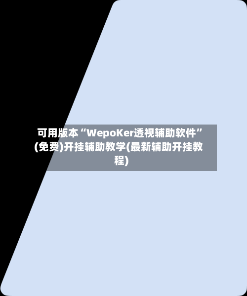 可用版本“WepoKer透视辅助软件	”(免费)开挂辅助教学(最新辅助开挂教程)-第1张图片