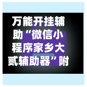 万能开挂辅助“微信小程序家乡大贰辅助器”附开挂脚本详细教程-第1张图片