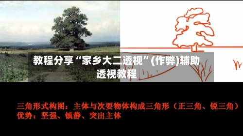 教程分享“家乡大二透视	”(作弊)辅助透视教程-第1张图片
