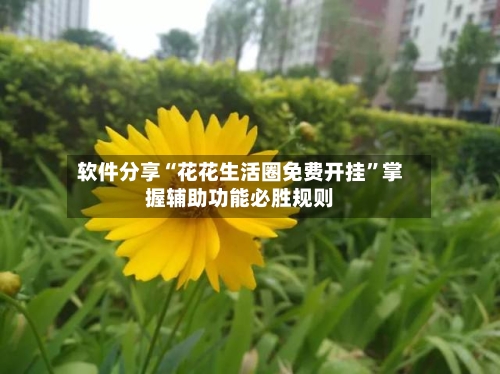 软件分享“花花生活圈免费开挂”掌握辅助功能必胜规则-第1张图片