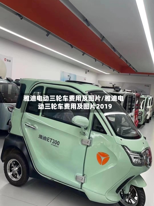 雅迪电动三轮车费用及图片/雅迪电动三轮车费用及图片2019-第1张图片