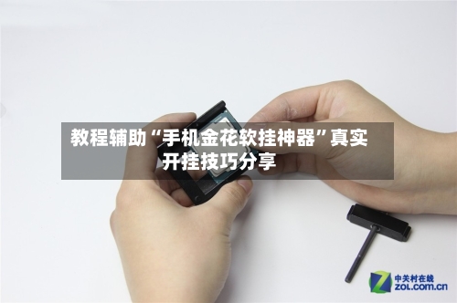 教程辅助“手机金花软挂神器”真实开挂技巧分享-第1张图片