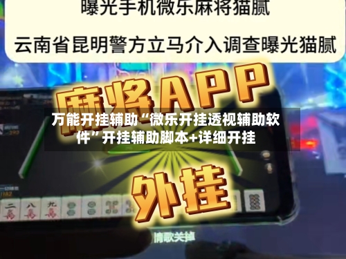 万能开挂辅助“微乐开挂透视辅助软件	”开挂辅助脚本+详细开挂-第1张图片