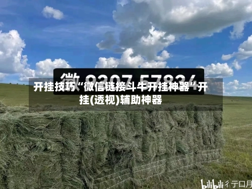 开挂技巧“微信链接斗牛开挂神器”开挂(透视)辅助神器-第1张图片