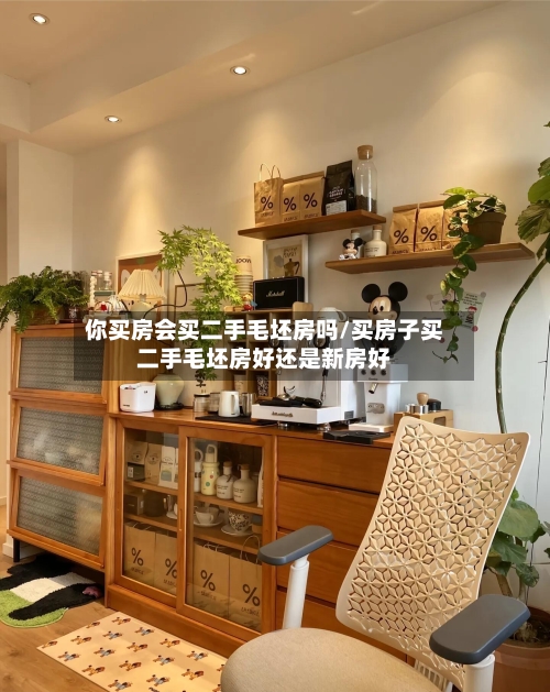 你买房会买二手毛坯房吗/买房子买二手毛坯房好还是新房好-第1张图片