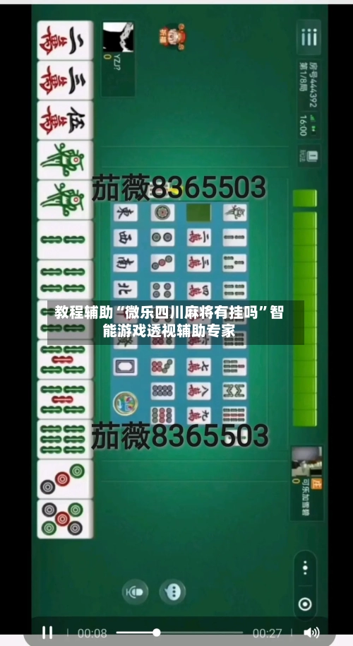 教程辅助“微乐四川麻将有挂吗”智能游戏透视辅助专家-第1张图片