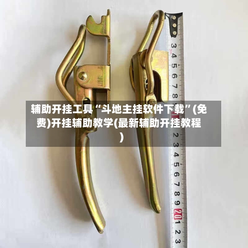 辅助开挂工具“斗地主挂软件下载	”(免费)开挂辅助教学(最新辅助开挂教程)-第1张图片