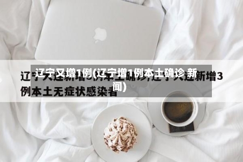辽宁又增1例(辽宁增1例本土确诊 新闻)-第1张图片