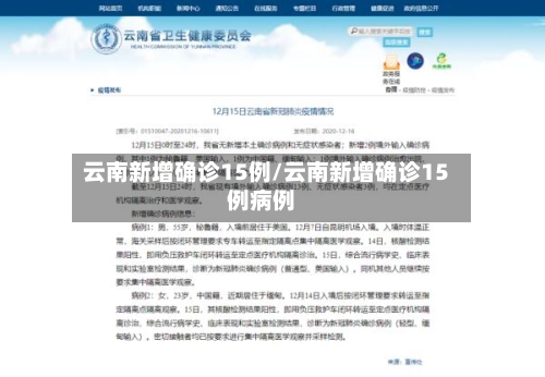 云南新增确诊15例/云南新增确诊15例病例