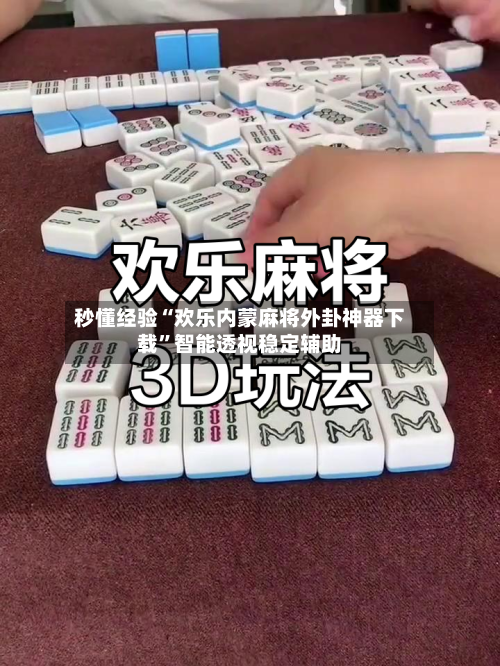 秒懂经验“欢乐内蒙麻将外卦神器下载”智能透视稳定辅助-第1张图片