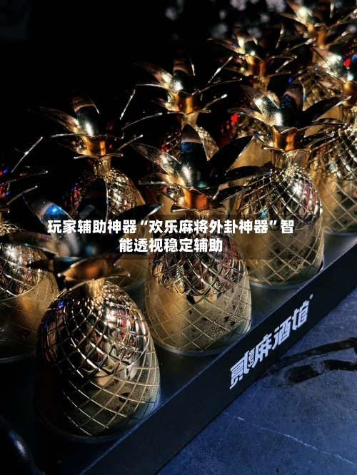 玩家辅助神器“欢乐麻将外卦神器”智能透视稳定辅助-第1张图片
