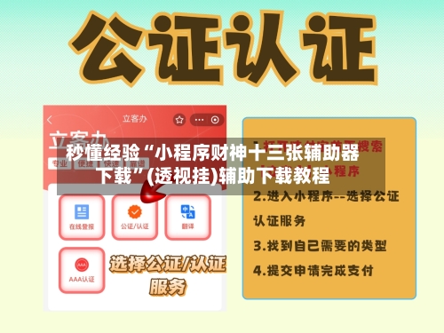 秒懂经验“小程序财神十三张辅助器下载	”(透视挂)辅助下载教程-第1张图片