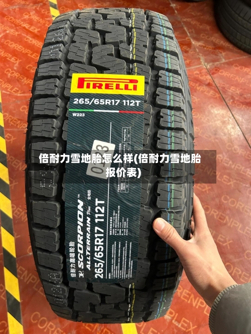 倍耐力雪地胎怎么样(倍耐力雪地胎报价表)-第1张图片