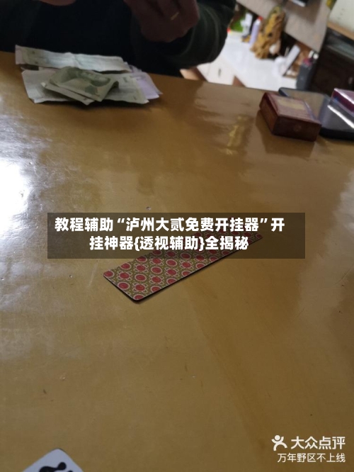 教程辅助“泸州大贰免费开挂器”开挂神器{透视辅助}全揭秘-第1张图片