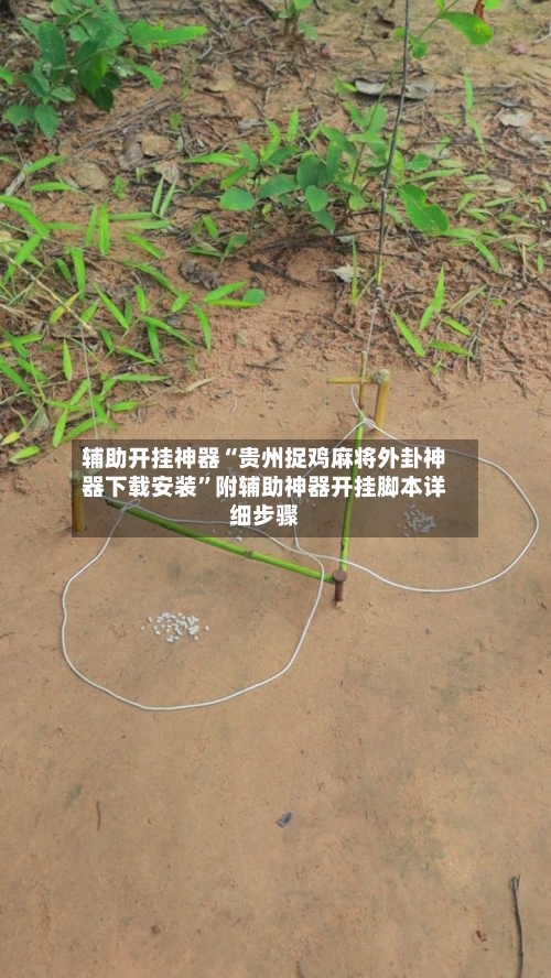 辅助开挂神器“贵州捉鸡麻将外卦神器下载安装”附辅助神器开挂脚本详细步骤