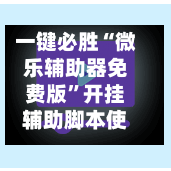一键必胜“微乐辅助器免费版	”开挂辅助脚本使用教程-第1张图片